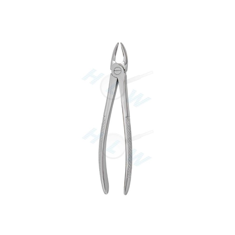 Gornja Molarna Desna Klješta 11-17