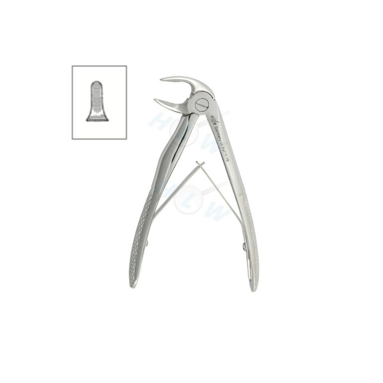 Dečija Donja Korenska Klješta 11-7B