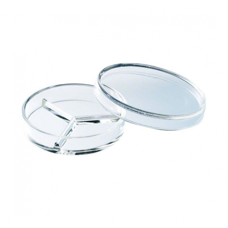 Petri Šolja Sa 3 Ili 4 Pregrade