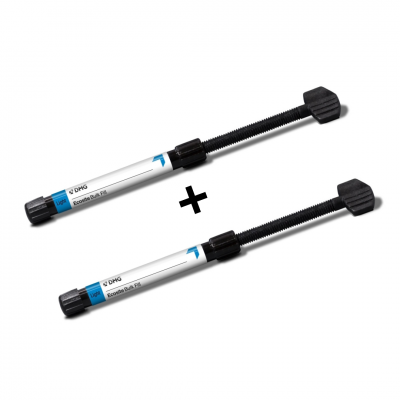 2x DMG Ecosite bulk fill kompozit
