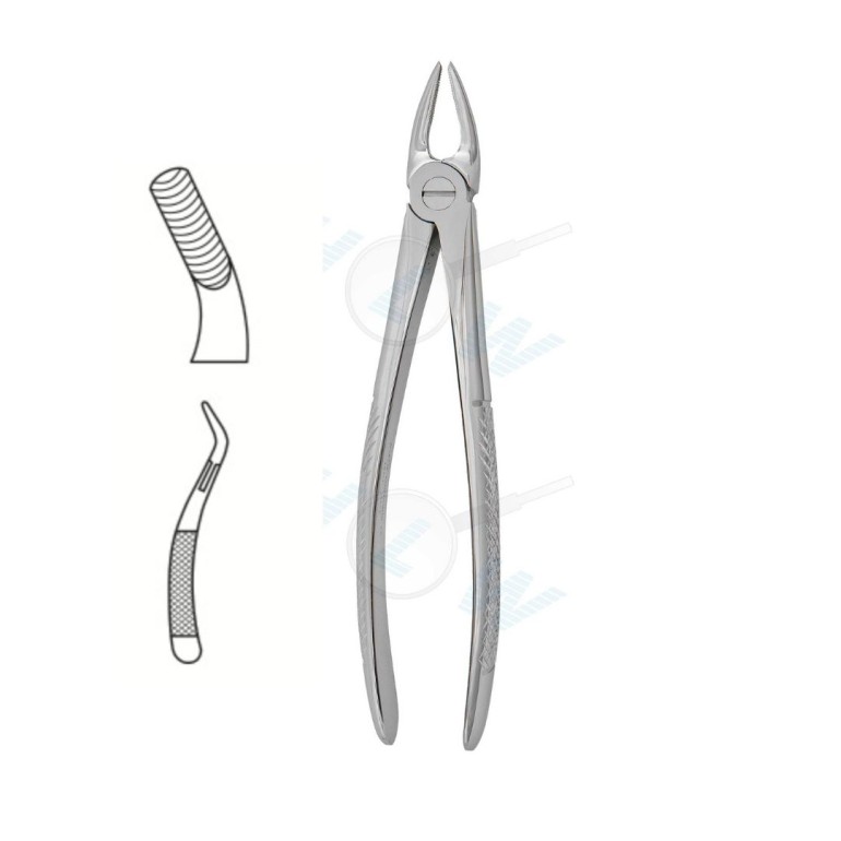 Gornja Molarna Leva Klješta 11-18