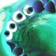 Hydrorise Regular Body Hydrorise Regular Body